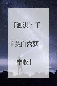 泗洪：千亩茭白喜获丰收