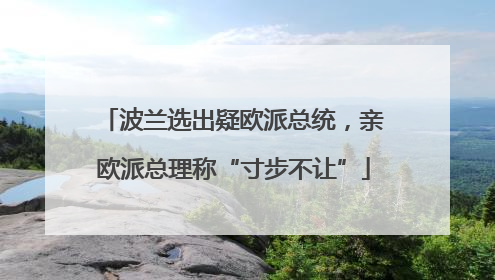 波兰选出疑欧派总统，亲欧派总理称“寸步不让”