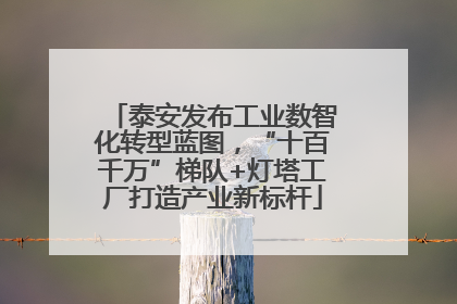 泰安发布工业数智化转型蓝图，“十百千万”梯队+灯塔工厂打造产业新标杆