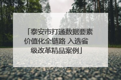 泰安市打通数据要素价值化全链路 入选省级改革精品案例