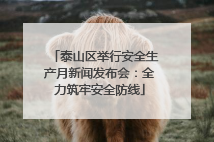 泰山区举行安全生产月新闻发布会：全力筑牢安全防线
