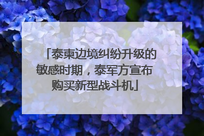 泰柬边境纠纷升级的敏感时期，泰军方宣布购买新型战斗机