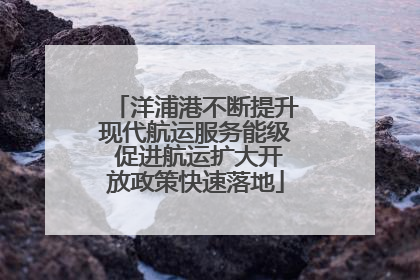洋浦港不断提升现代航运服务能级 促进航运扩大开放政策快速落地