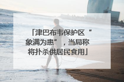 津巴布韦保护区“象满为患”，当局称将扑杀供居民食用
