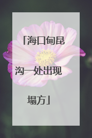 海口甸昆沟一处出现塌方