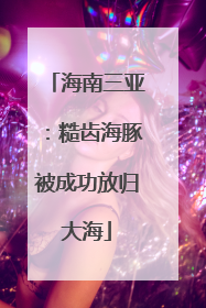 海南三亚：糙齿海豚被成功放归大海