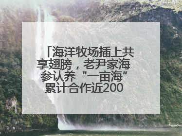 海洋牧场插上共享翅膀，老尹家海参认养“一亩海”累计合作近200企业客户