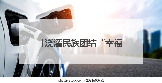 浇灌民族团结“幸福花” 浙江统一战线助力畲乡景宁展新貌