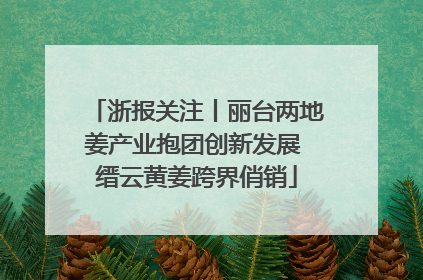 浙报关注丨丽台两地姜产业抱团创新发展 缙云黄姜跨界俏销