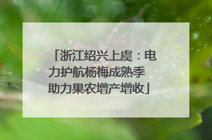 浙江绍兴上虞：电力护航杨梅成熟季 助力果农增产增收