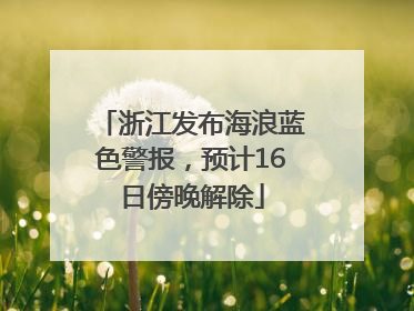 浙江发布海浪蓝色警报，预计16日傍晚解除