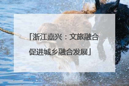 浙江嘉兴：文旅融合促进城乡融合发展