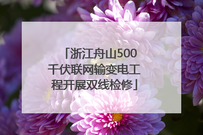 浙江舟山500千伏联网输变电工程开展双线检修