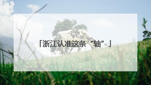 浙江认准这条“轴”
