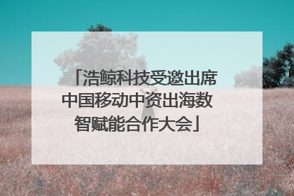 浩鲸科技受邀出席中国移动中资出海数智赋能合作大会