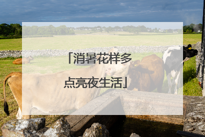 消暑花样多 点亮夜生活