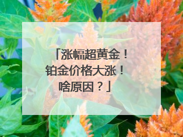 涨幅超黄金！铂金价格大涨！啥原因？
