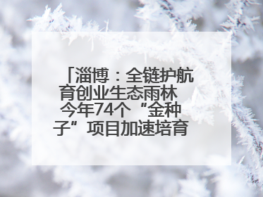 淄博：全链护航育创业生态雨林 今年74个“金种子”项目加速培育 政策性扶持创业9754人
