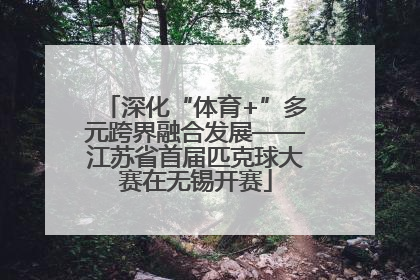 深化“体育+”多元跨界融合发展——江苏省首届匹克球大赛在无锡开赛