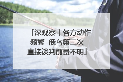 深观察丨各方动作频繁  俄乌第二次直接谈判前景不明
