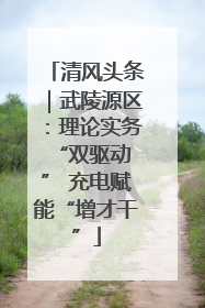清风头条｜武陵源区：理论实务“双驱动 ” 充电赋能“增才干”