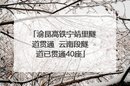 渝昆高铁宁靖里隧道贯通  云南段隧道已贯通40座