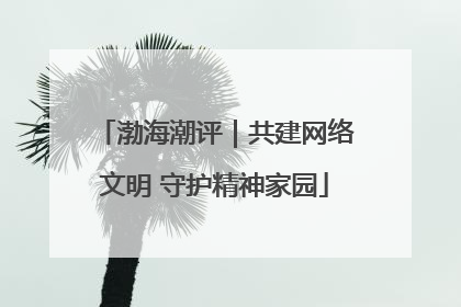 渤海潮评｜共建网络文明 守护精神家园