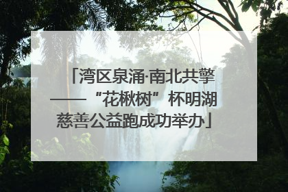 湾区泉涌·南北共擎——“花楸树”杯明湖慈善公益跑成功举办