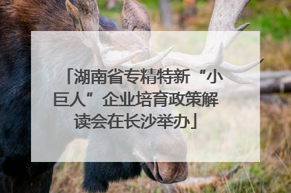 湖南省专精特新“小巨人”企业培育政策解读会在长沙举办