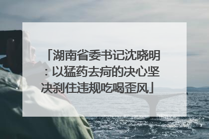 湖南省委书记沈晓明：以猛药去疴的决心坚决刹住违规吃喝歪风