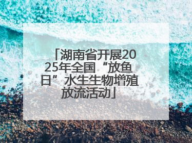 湖南省开展2025年全国“放鱼日”水生生物增殖放流活动