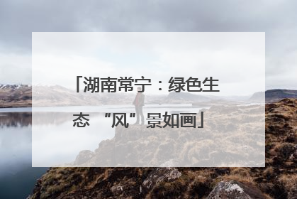 湖南常宁：绿色生态 “风”景如画