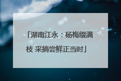 湖南江永：杨梅缀满枝 采摘尝鲜正当时