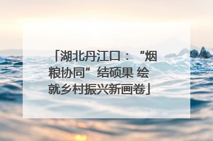 湖北丹江口：“烟粮协同”结硕果 绘就乡村振兴新画卷