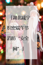 湖北咸宁织密端午节消防“安全网”