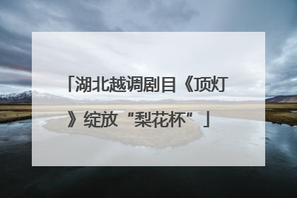 湖北越调剧目《顶灯》绽放“梨花杯”