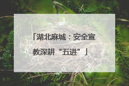 湖北麻城：安全宣教深耕“五进”