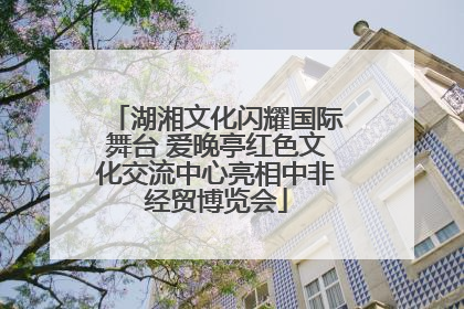 湖湘文化闪耀国际舞台 爱晚亭红色文化交流中心亮相中非经贸博览会