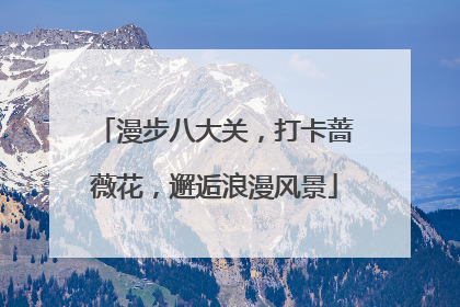 漫步八大关，打卡蔷薇花，邂逅浪漫风景