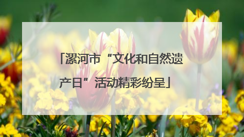 漯河市“文化和自然遗产日”活动精彩纷呈
