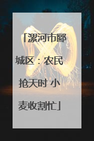 漯河市郾城区：农民抢天时 小麦收割忙