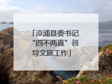 漳浦县委书记“四不两直”督导文旅工作
