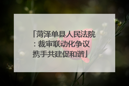 菏泽单县人民法院：裁审联动化争议 携手共建促和谐