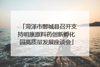 菏泽市鄄城县召开支持明康原料药创新孵化园高质量发展座谈会