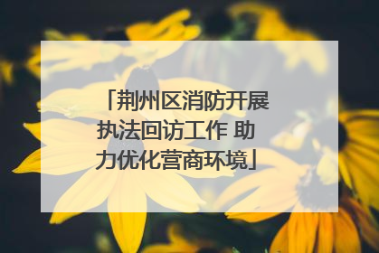 荆州区消防开展执法回访工作 助力优化营商环境