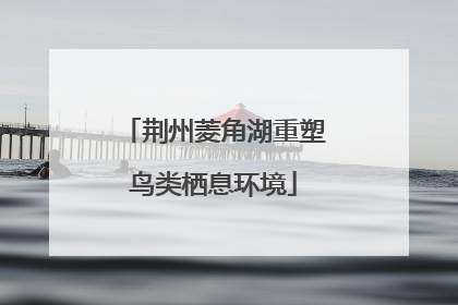 荆州菱角湖重塑鸟类栖息环境