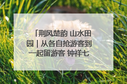 荆风楚韵 山水田园｜从各自抢游客到一起留游客 钟祥七村抱团解了“乡愁”添了“乡酬”