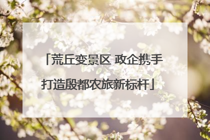 荒丘变景区 政企携手打造殷都农旅新标杆