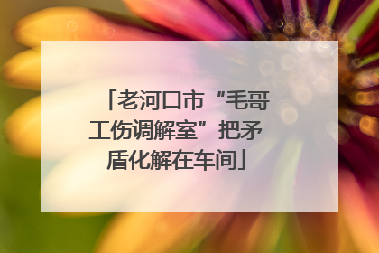 老河口市“毛哥工伤调解室”把矛盾化解在车间