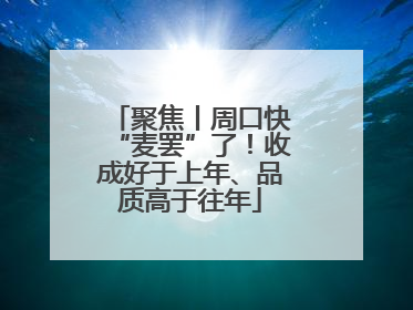 聚焦丨周口快“麦罢”了！收成好于上年、品质高于往年